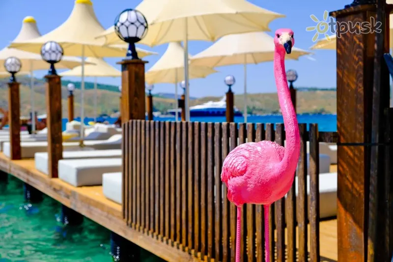 Фото отеля Oscar Seaside Hotel & Spa 4* Bodrumas Turkija 