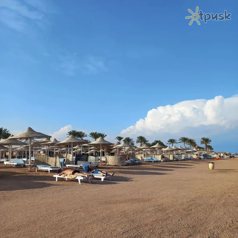 Фото отеля Regency Plaza Aqua Park & Spa 5* Шарм эль Шейх Египет пляж