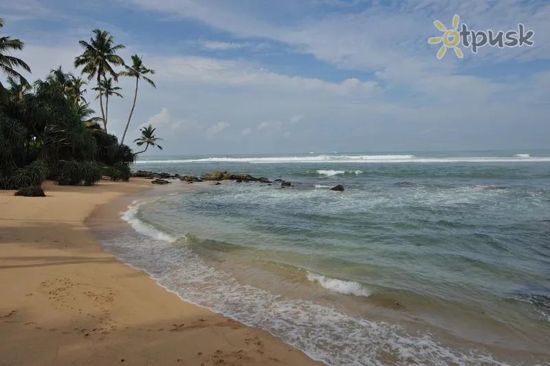 Фото отеля Tantalize Beach Resort 3* Хіккадува Шрі Ланка пляж