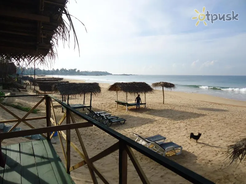 Фото отеля Whitepearl Beach 3* Хиккадува Шри-Ланка пляж