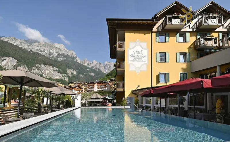 Фото отеля Alexander Hotel Alpine Wellness Dolomites 3* Алтопіано делла Паганелла Італія 