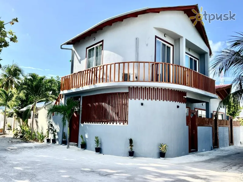 Фото отеля Finolhu Dhigurah Guest House 3* Арі (Аліфу) Атол Мальдіви 