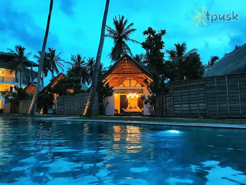 Фото отеля Blue Whale Resort 3* Калпития Шри-Ланка 