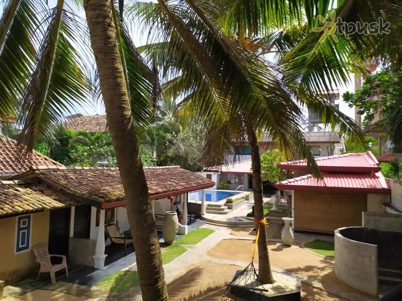 Фото отеля Janus Paradise Rest 3* Бентота Шри-Ланка 