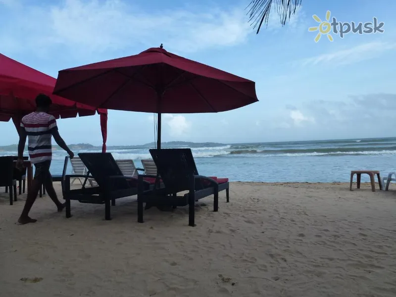 Фото отеля Samaru Beach House 3* Велигама Шри-Ланка 