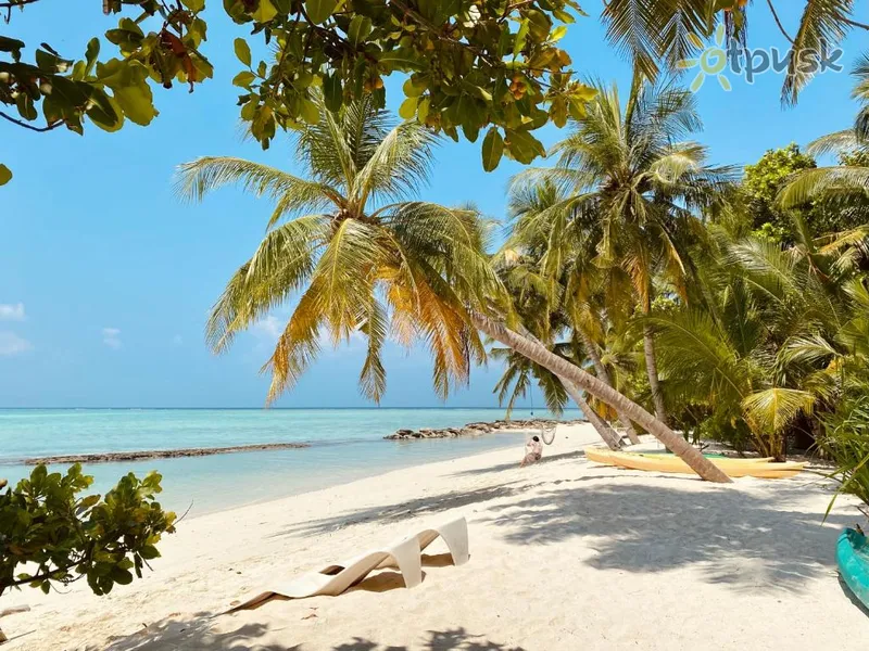 Фото отеля Veli Beach Inn 3* Ari (Alifu) atols Maldīvija 