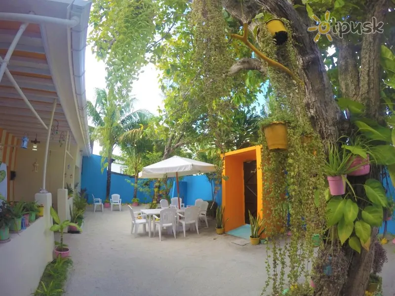 Фото отеля Midsummer Thulusdhoo 3* Північний Мале Атол Мальдіви 