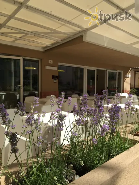 Фото отеля Little Hotel 3* Ріміні Італія екстер'єр та басейни