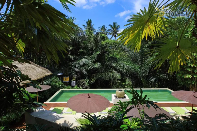 Фото отеля The Purist Villas & Spa 4* Убуд (о. Балі) Індонезія 
