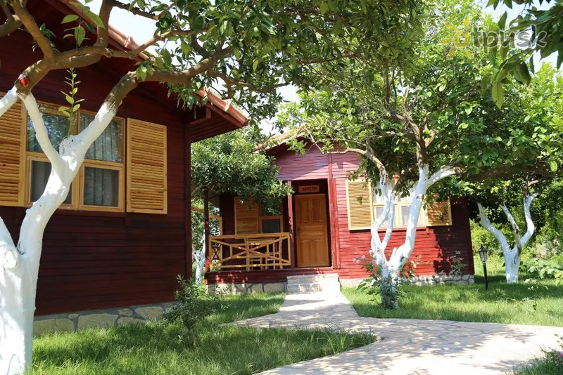 Фото отеля Mercan Bungalow 3* Кемер Туреччина 