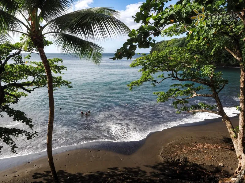 Фото отеля Le Tahiti by Pearl Resorts 4* apie. Taitis Prancūzų Polinezija papludimys