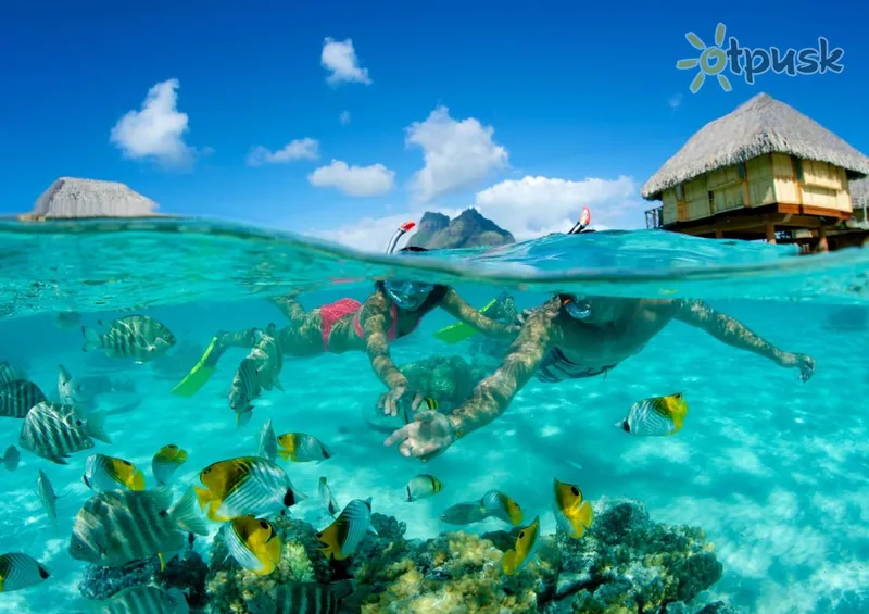 Фото отеля Le Bora Bora by Pearl Resorts 4* apie. Bora Bora Prancūzų Polinezija 