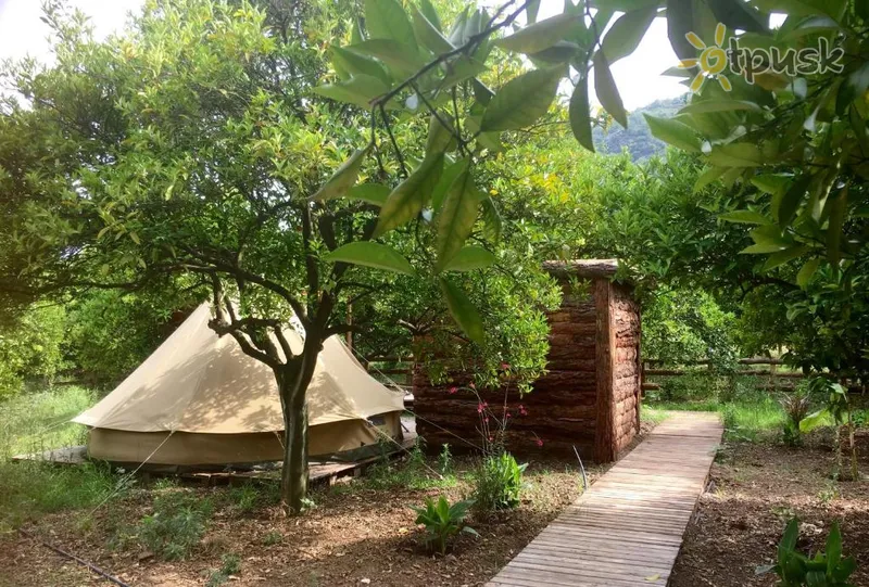 Фото отеля Campo Portakal Eco Glamping Cirali 3* Кемер Турция 