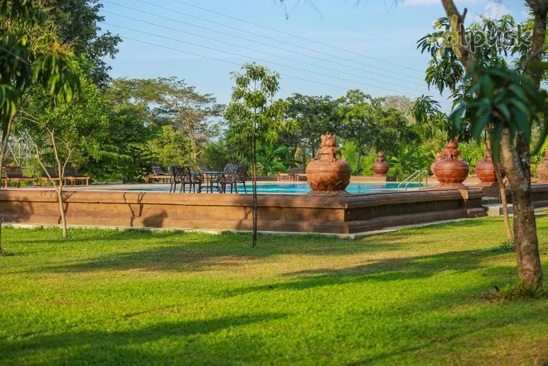 Фото отеля Kaveri Resort Sigiriya 4* Dambulla Šrilanka 