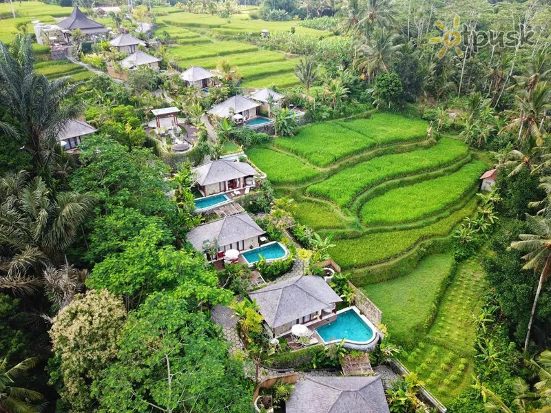 Фото отеля Nau Villas Ubud 4* Ubuda (Bali) Indonēzija ārpuse un baseini