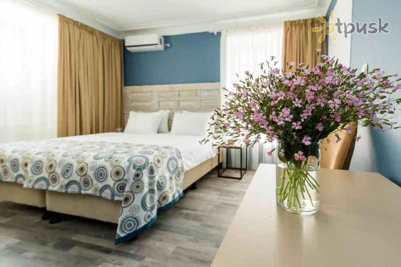 Фото отеля Gvino Minda Hotel 3* Тбилиси Грузия 