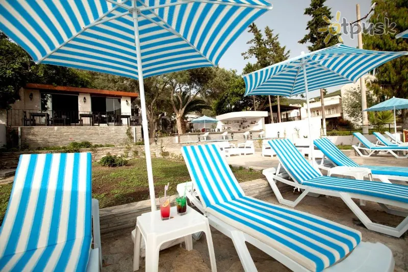 Фото отеля Zena Hotel Bodrum 2* Бодрум Турция 