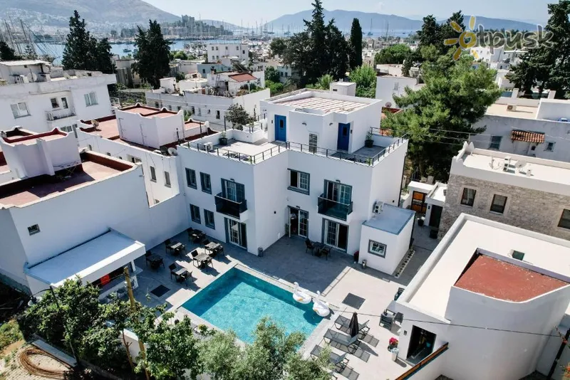 Фото отеля Swan Pansiyon Bodrum 2* Бодрум Турция 