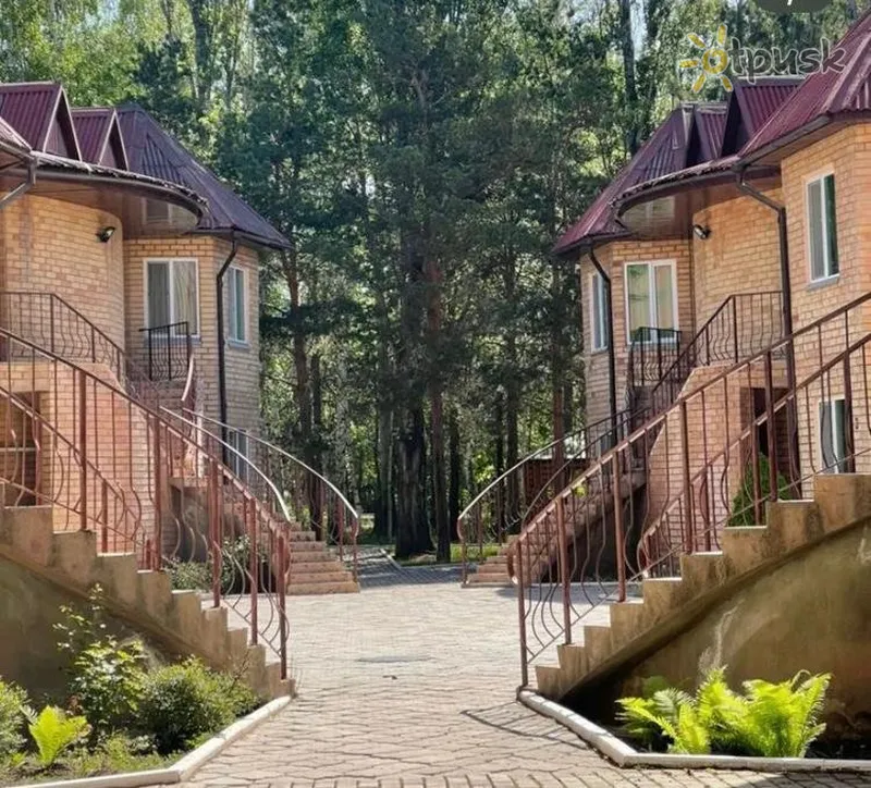 Фото отеля Алтын-Куль 4* Issyk-Kul Kirgizstāna 