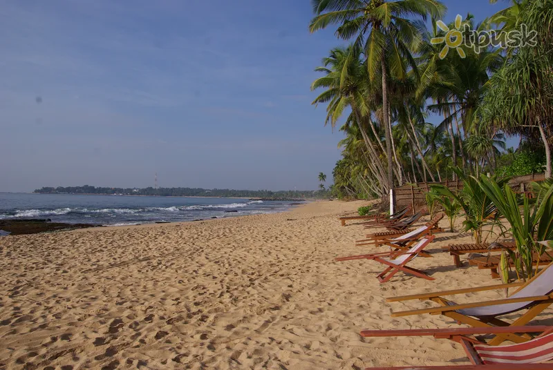 Фото отеля Patini Bungalows 3* Tangalle Šrilanka 