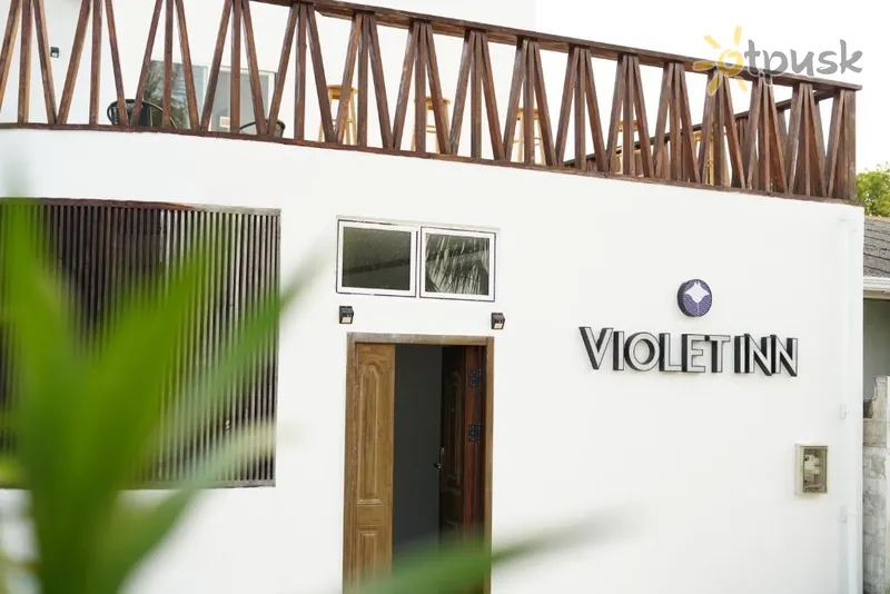 Фото отеля Violet Inn 3* Baa atolas Maldyvai 