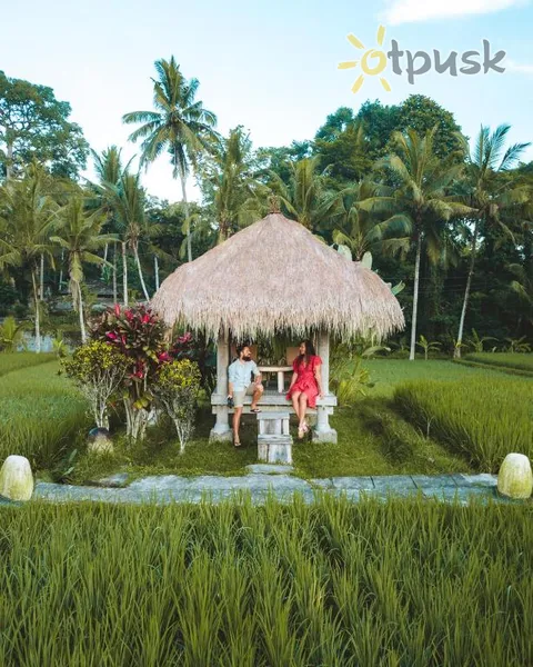 Фото отеля Mathis Retreat Ubud 4* Ubuda (Bali) Indonēzija ārpuse un baseini