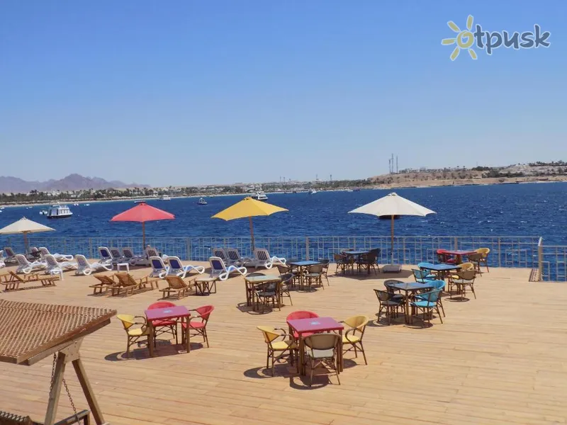 Фото отеля Jewel Sharm EL-Sheikh Hotel 4* Šarm el Šeichas Egiptas 