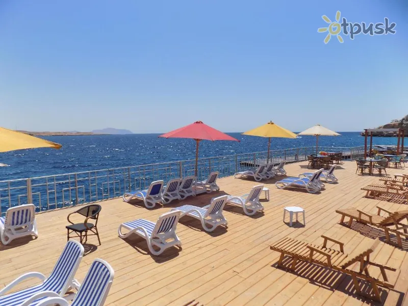 Фото отеля Jewel Sharm EL-Sheikh Hotel 4* Šarm el Šeichas Egiptas 