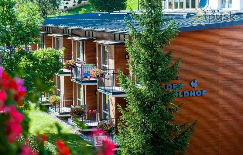 Фото отеля Der Waldhof Hotel 4* Цель ам Зее Австрия 