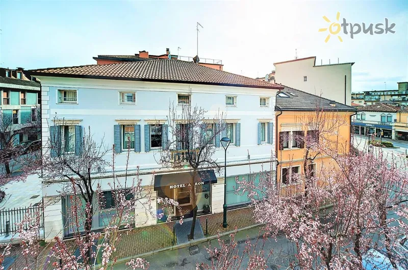 Фото отеля Aaron Hotel 3* Венеция Италия экстерьер и бассейны