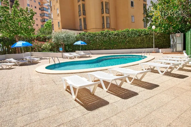 Фото отеля Don Gregorio — Fincas Benidorm 3* Коста Бланка Испания 