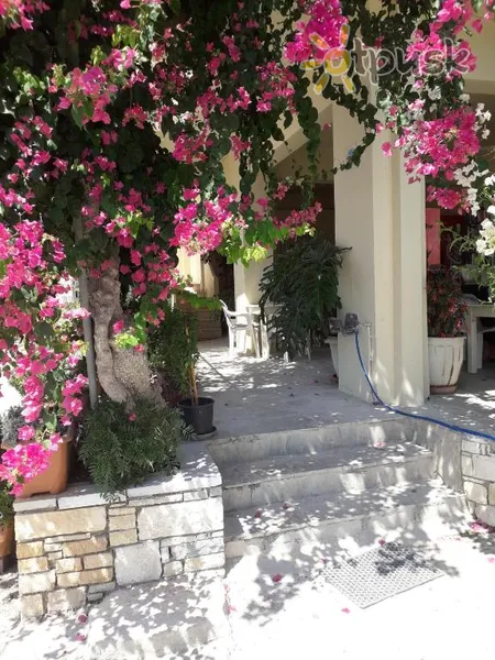 Фото отеля Knossos Hotel 3* о. Крит – Ираклион Греция