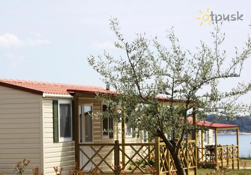 Фото отеля Aminess Sirena Campsite 4* Новиград Хорватия 