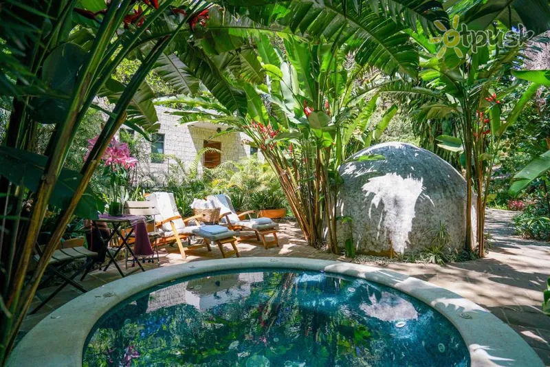 Фото отеля Amomoxtli Tepoztlan Hotel 5* Оахака Мексика экстерьер и бассейны