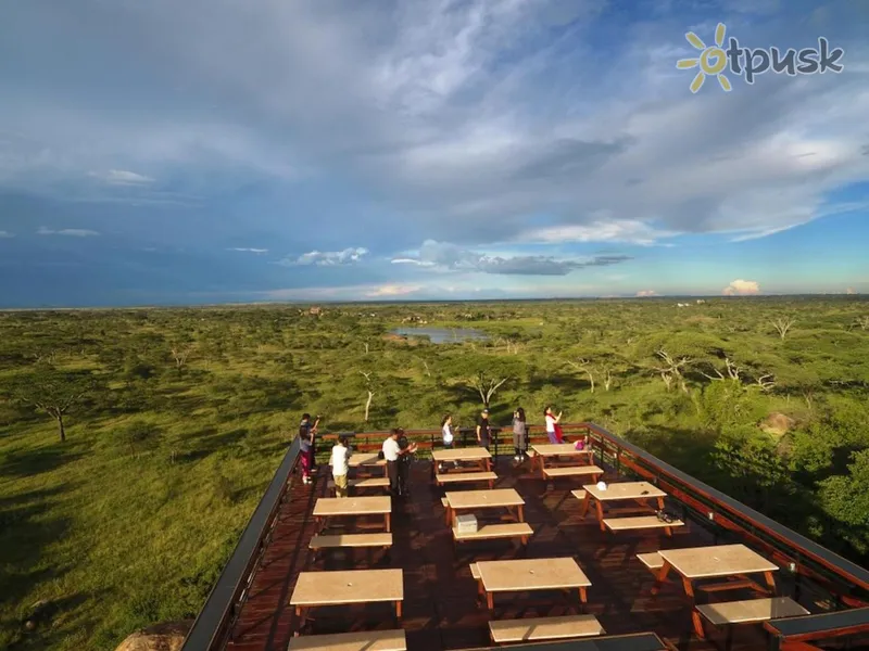 Фото отеля Seronera Wildlife Lodge 4* Серенгети Танзания 