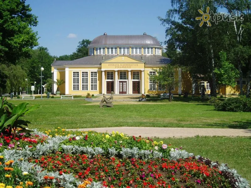 Фото отеля Dr. Adler Hotel 3* Frantiskove Lazne Čehu ārpuse un baseini