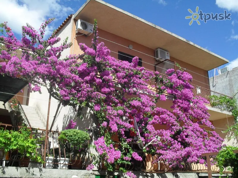 Фото отеля Apartments Katica 2* Makarska Kroatija išorė ir baseinai