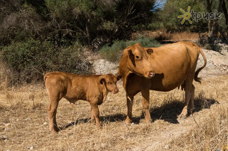 Фото отеля Can Feliu Agroturismo 4* о. Майорка Испания прочее