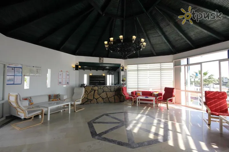 Фото отеля La Maison 48 Aparts 3* Бодрум Турция лобби и интерьер