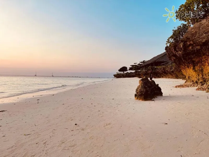 Фото отеля Babalao Bungalows 3* Нунгви Танзания пляж