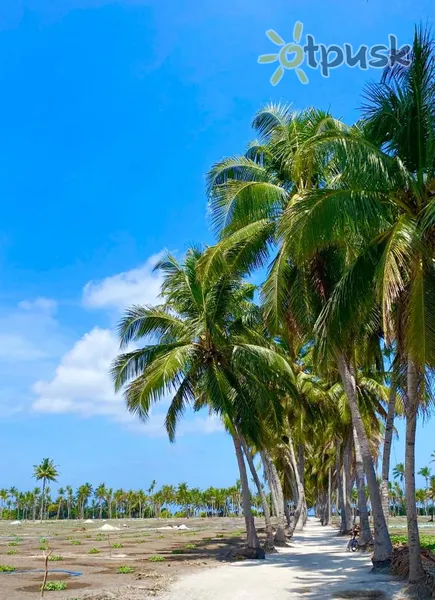 Фото отеля Sorenzo Maldives 4* Ari (Alifu) atolas Maldyvai išorė ir baseinai
