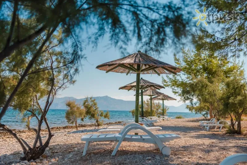 Фото отеля Waterman Beach Village 4* apie. Bračas Kroatija papludimys