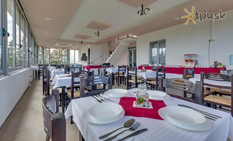 Фото отеля Ama Villa 4* Ульцинь Черногория экстерьер и бассейны