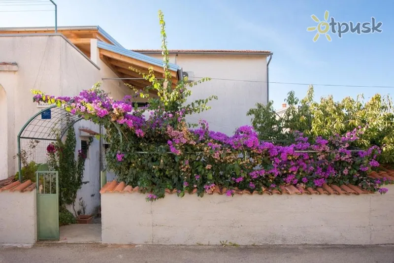 Фото отеля Anita Summer Apartments 3* Водице Хорватия экстерьер и бассейны