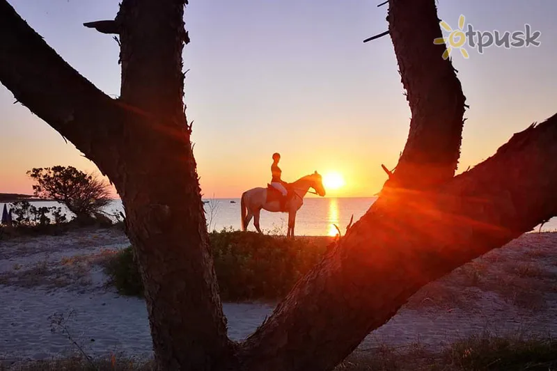 Фото отеля Cala Mirto Hotel 3* par. Sardīnija Itālija cits