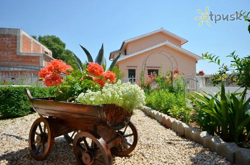 Фото отеля Zinka Apartments & Room 3* Водице Хорватия экстерьер и бассейны