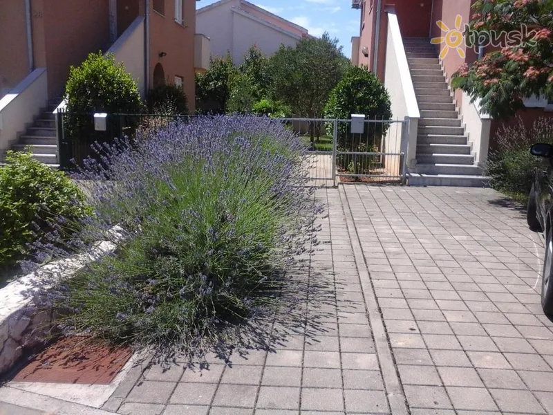 Фото отеля Danica Apartments 3* Vodice Horvātija ārpuse un baseini