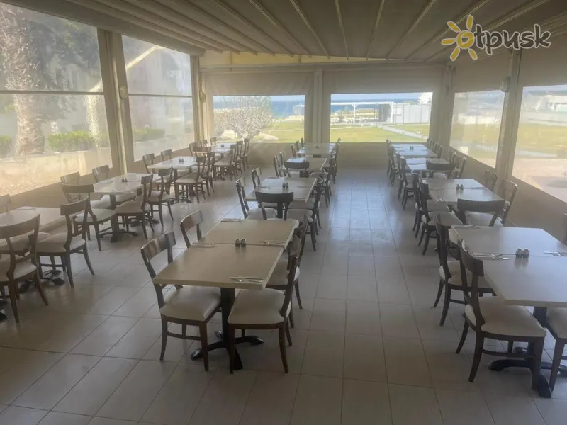 Фото отеля Penelope Beach Hotel 4* Протарас Кіпр бари та ресторани