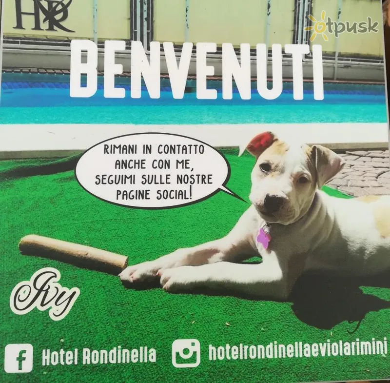 Фото отеля Rondinella e Viola 3* Римини Италия