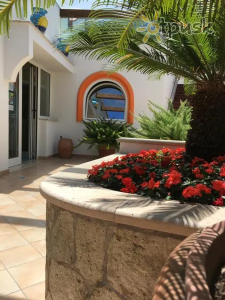 Фото отеля Poggio Aragosta Hotel & Spa 4* о. Искья Италия